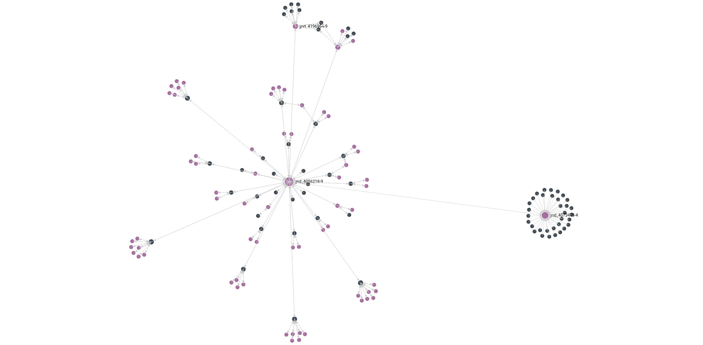 An Image showing a section of the knowledge graph. Black dots represent records, violet dots represent subjects. The Image shows the relationship between two topical clusters by a single edge between two subjects. One of the clusters to the left is more expanded, showing the relationship and interconnection between resources and their respective subjects, while the other cluster to the right is more aggregated and only shows its central subject with resources connected to it.